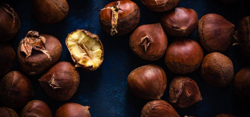 Lighting & Gear Needed To Start Food Photography