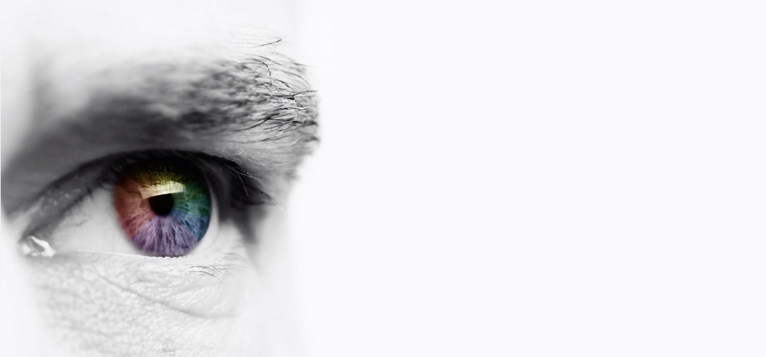 Photographer’s Guide to Color Theory