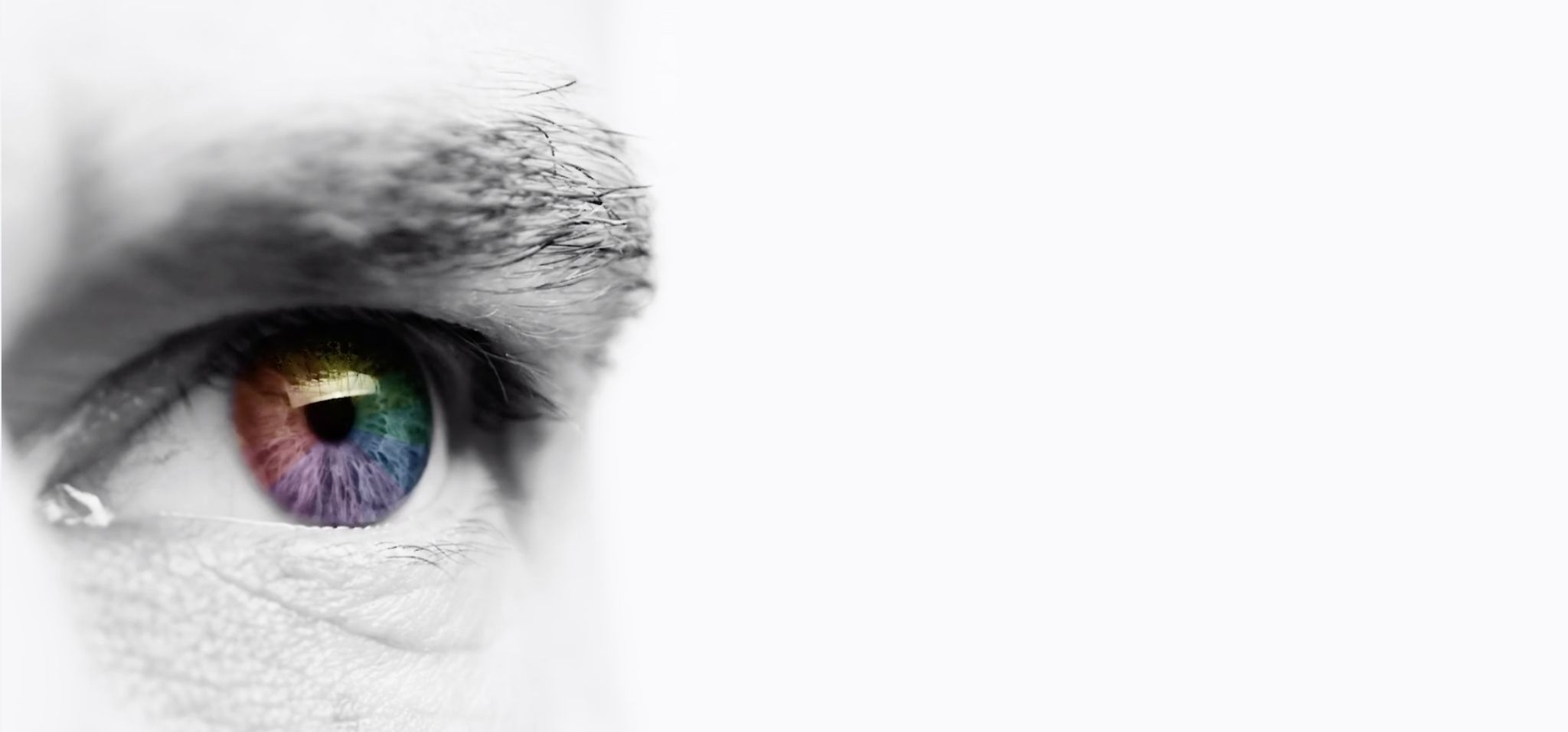 Photographer’s Guide to Color Theory