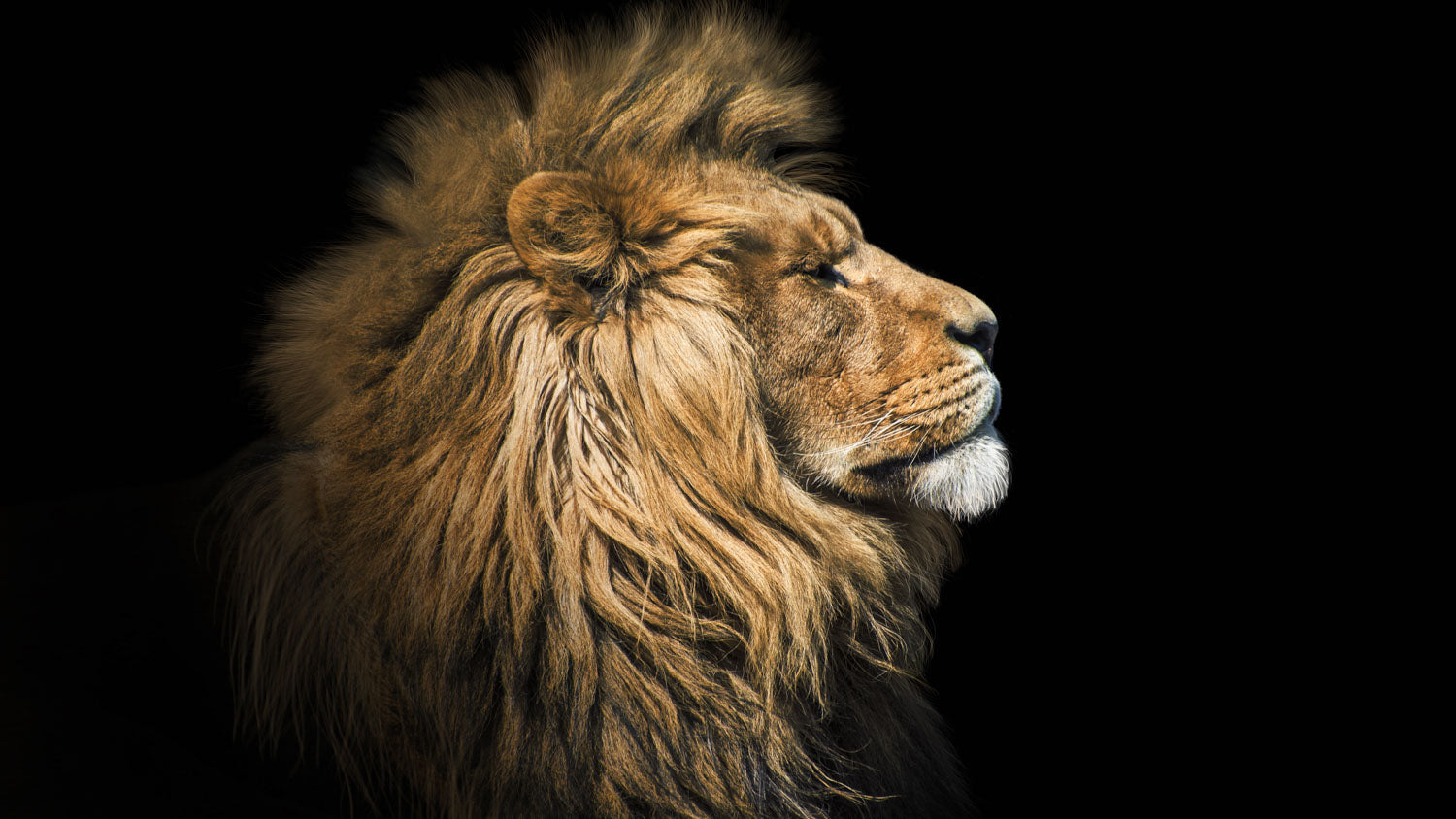 Nature still life photography showcasing beauty