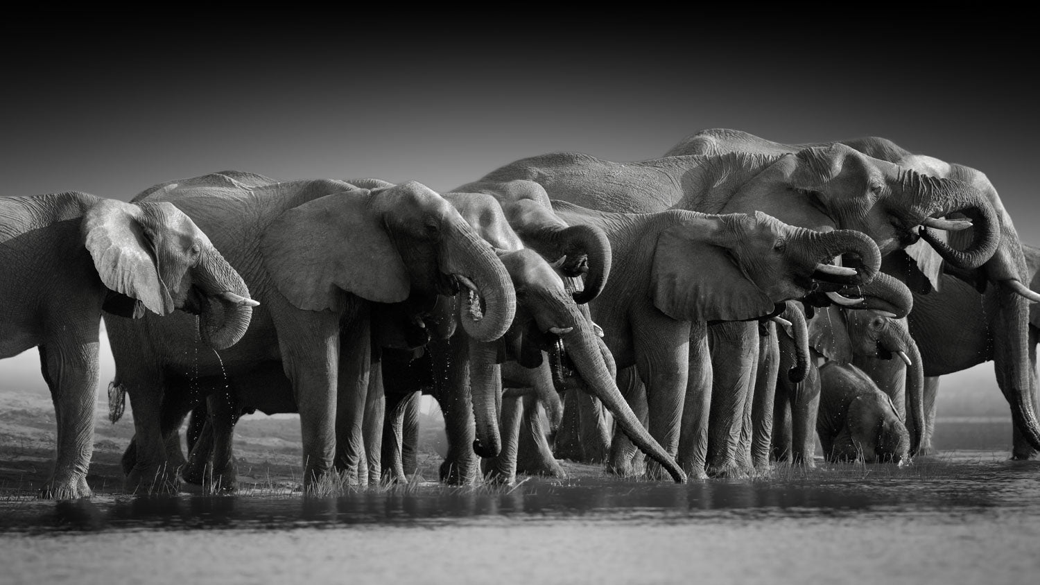 Vibrant nature photography career