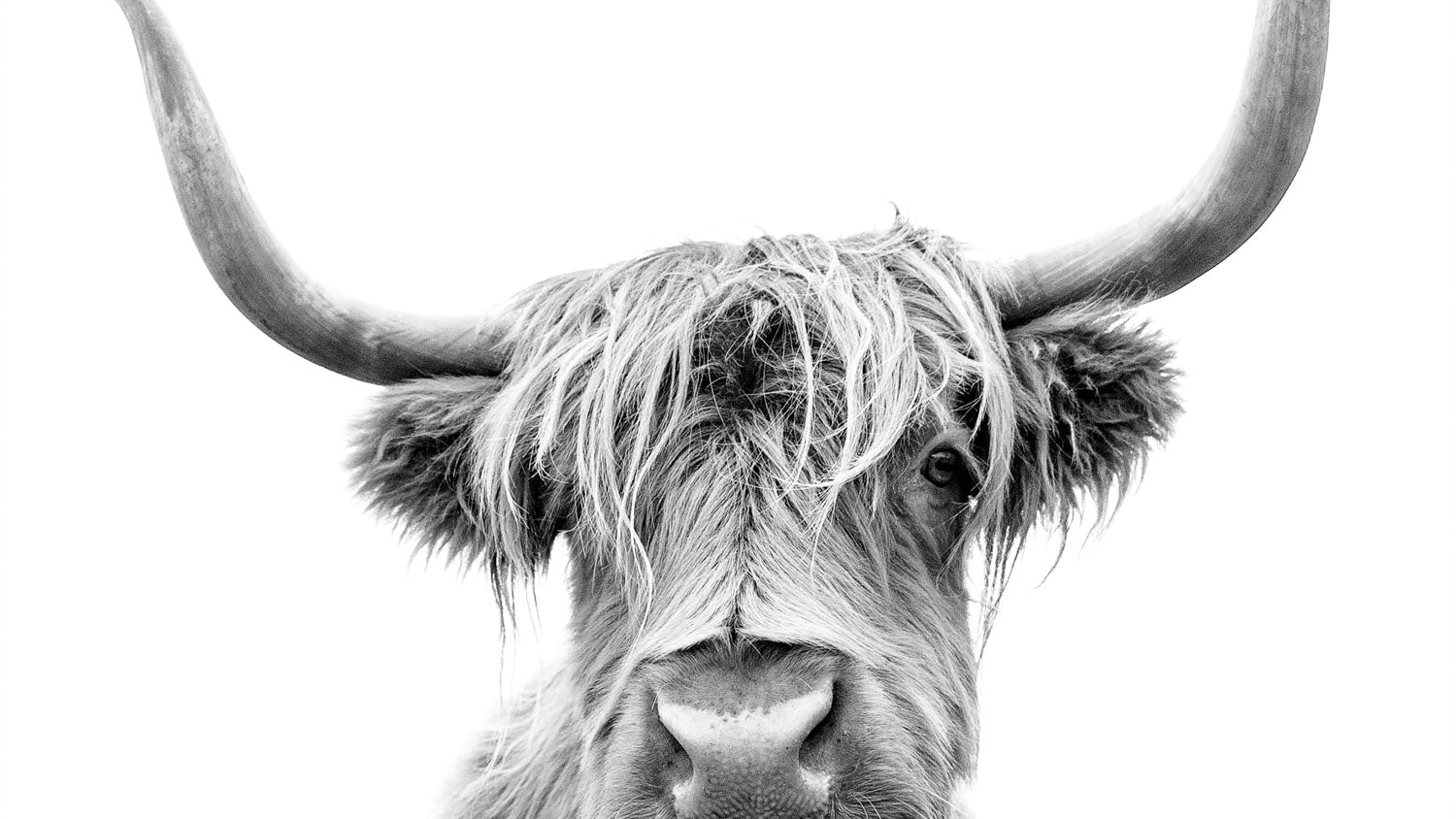 Eco-friendly product photography outdoors