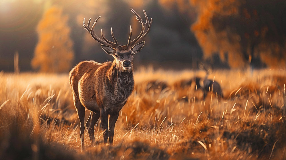 Enhancing wildlife photography in Photoshop