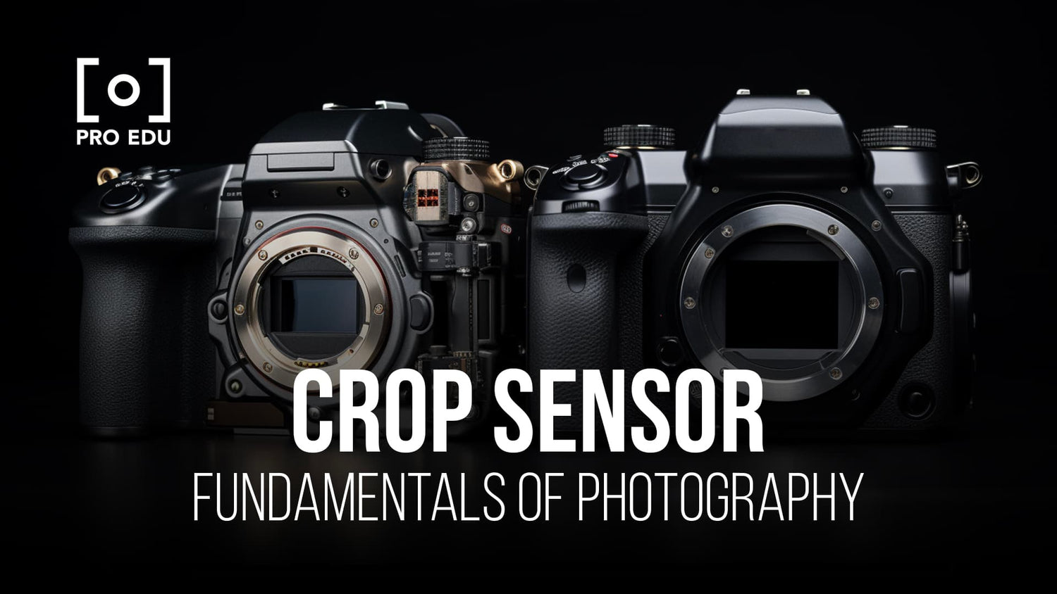 Pros, cons, and best practices for using crop sensor cameras in photography