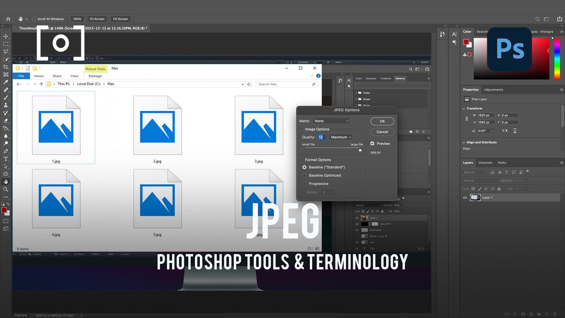 How to Use the Hand Tool in Photoshop - PHLEARN