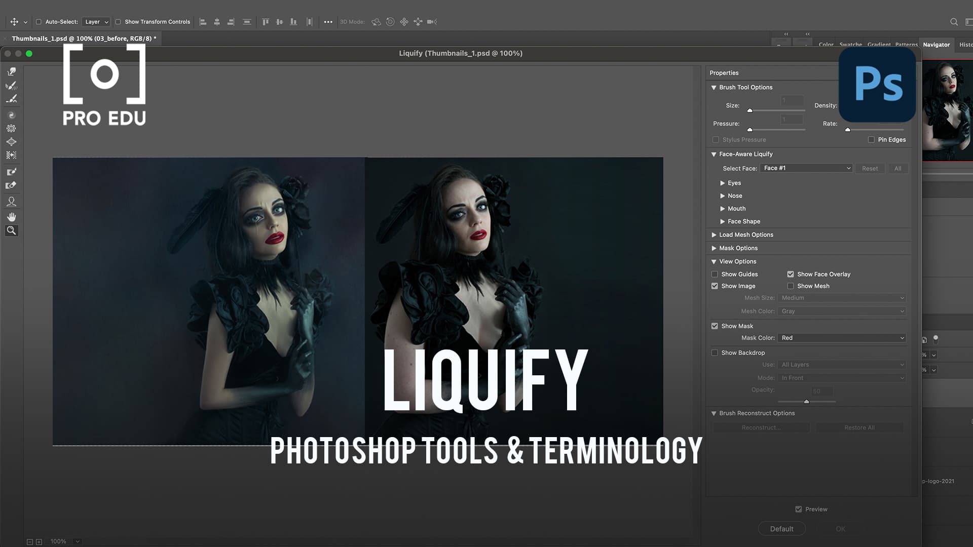 Liquify in Photoshop: Creative Image Manipulation
