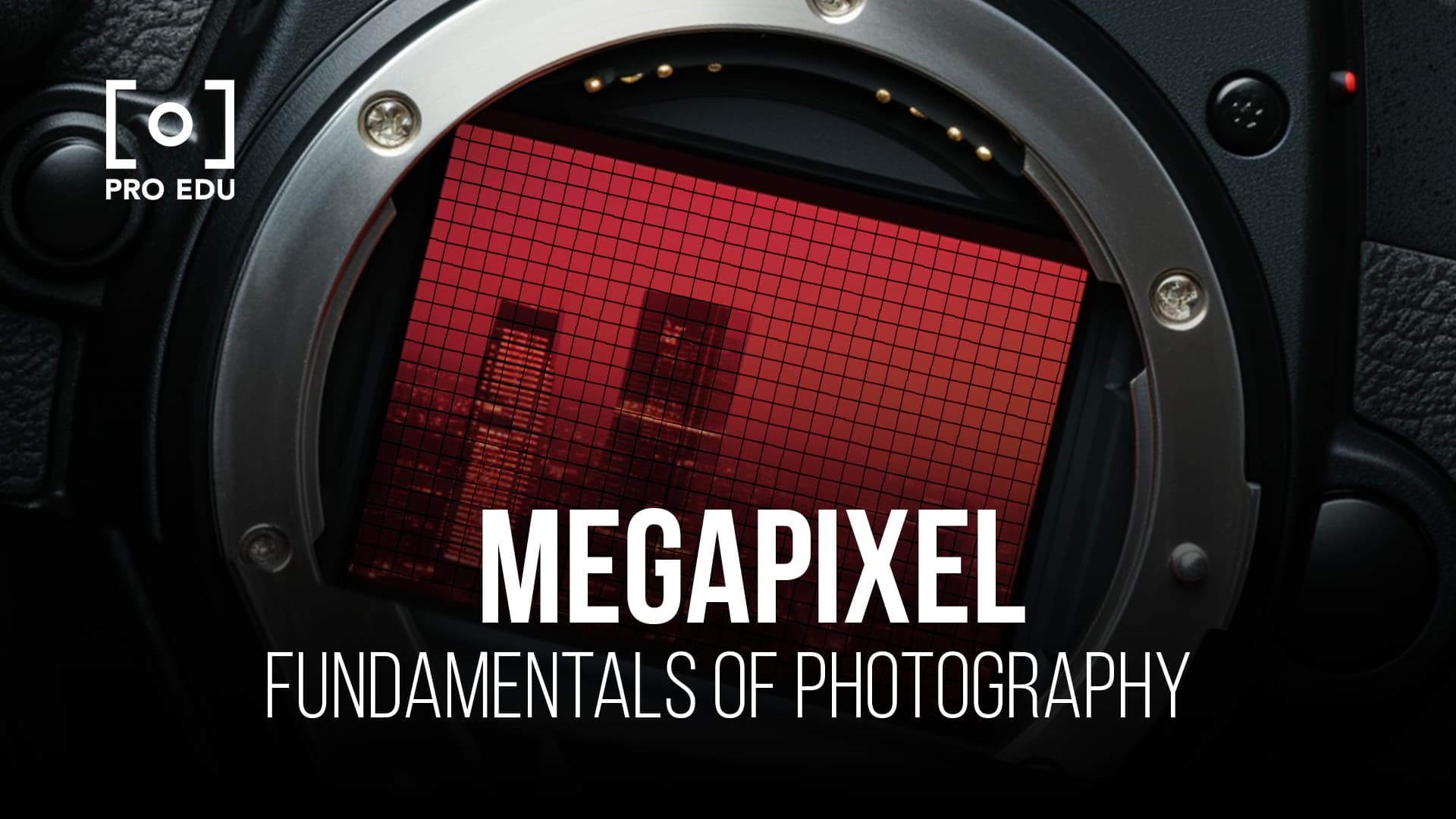 Megapixels & Image Quality Explained