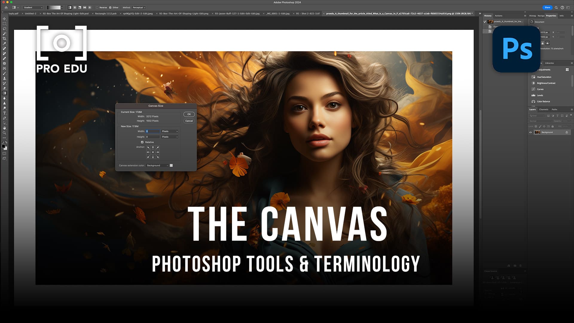 What Is A Canvas in Photoshop PRO EDU Photography Blog