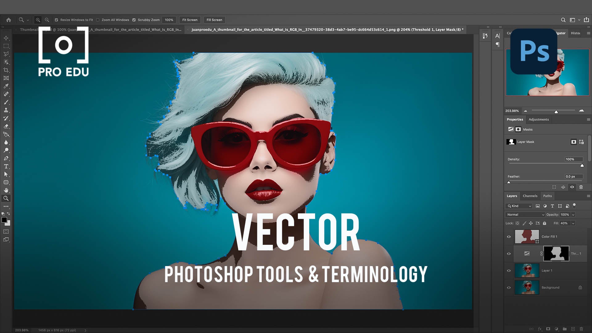 Vector Graphics Essentials in Photoshop - PRO EDU Guide