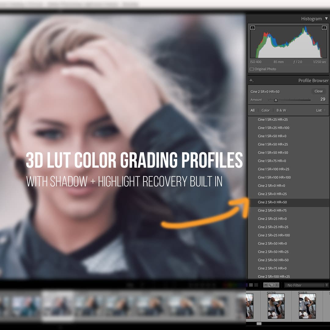 Lightroom interface for PRO EDU NOLA 3D Luts