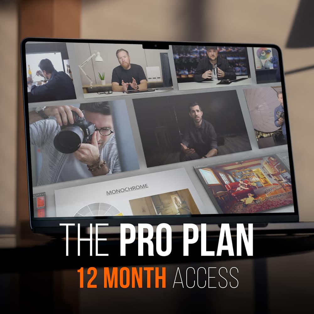 The Annual PRO EDU Plan - All in One Photographer Course PRO EDU PRO EDU