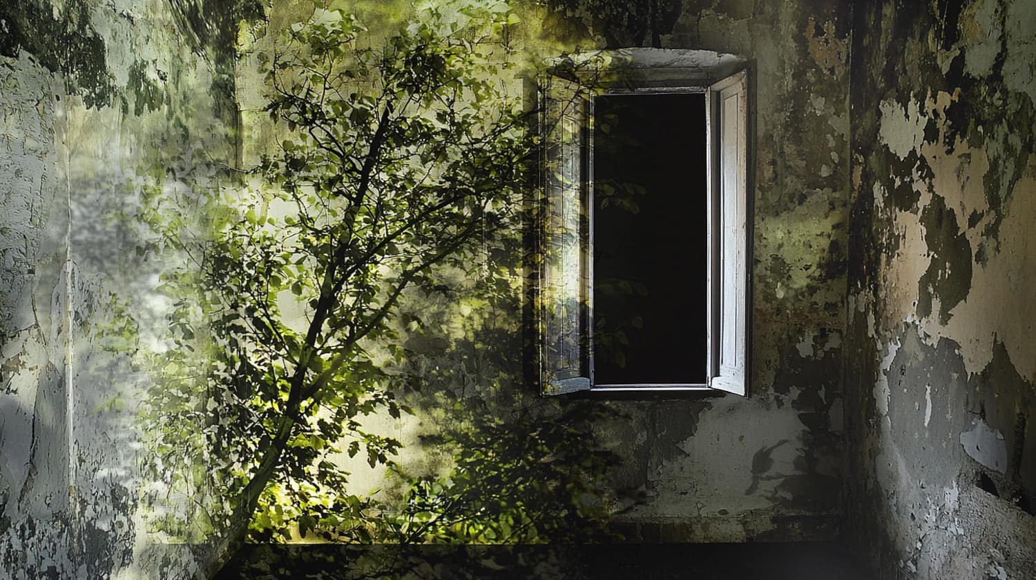 Abelardo Morell camera obscura photograph