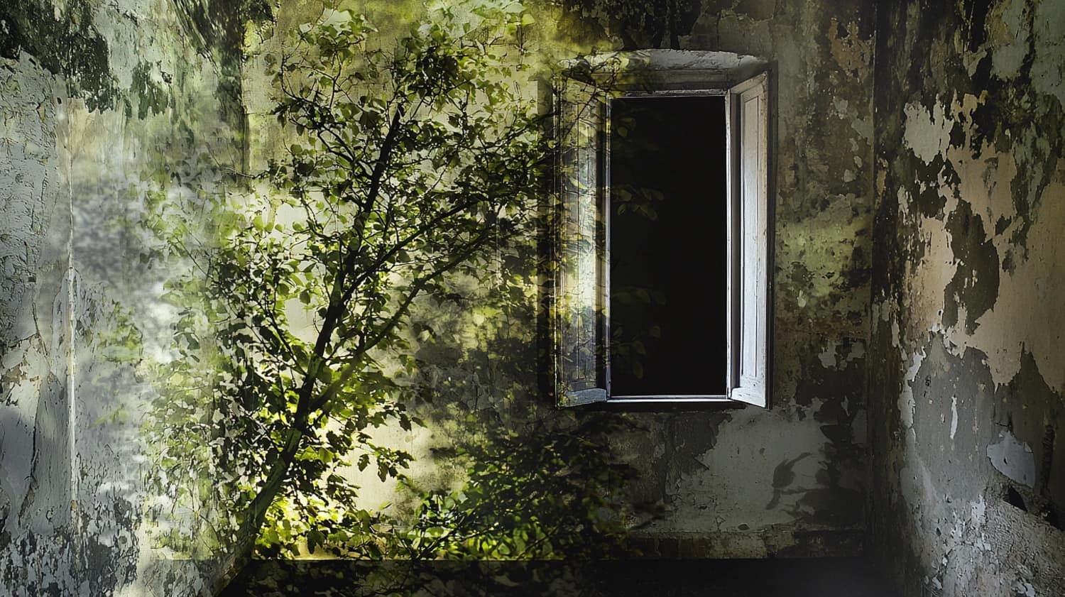 Abelardo Morell: Camera Obscura in Modern Photography - Reviving Ancient Technique for Contemporary Art