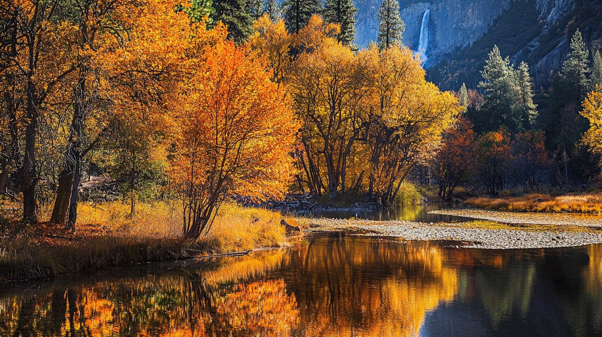 Carleton Watkins: Capturing the Majesty of Yosemite - Pioneer of Landscape Photography