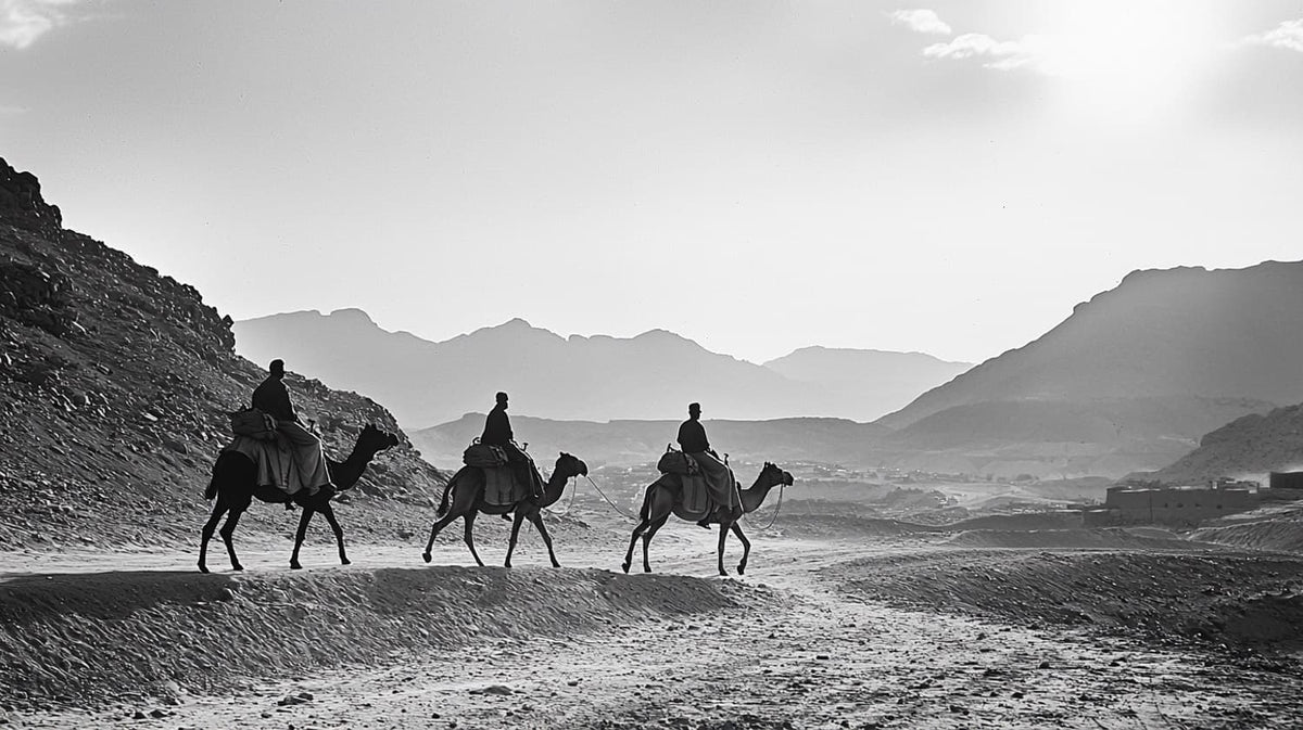 Francis Frith: Documenting the Holy Land and Victorian Travel Photography - Pioneering Visual Records of the Middle East