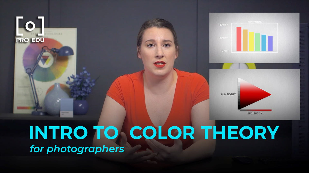 The Art of Color Grading In Photography