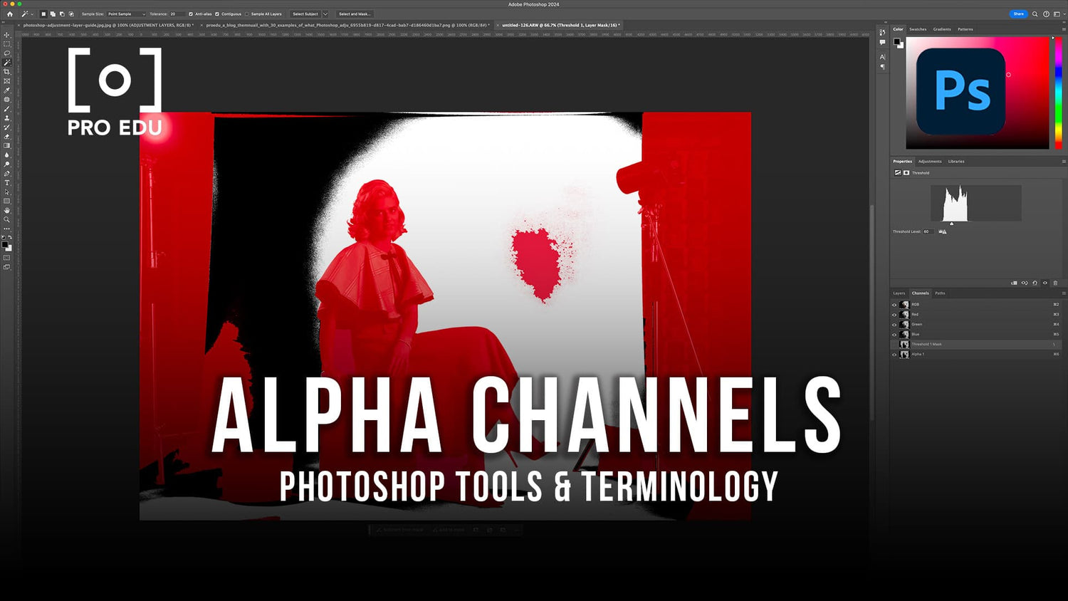 What Are Alpha Channels In Photoshop guide from a photograph, demonstrating how it enhances image selection