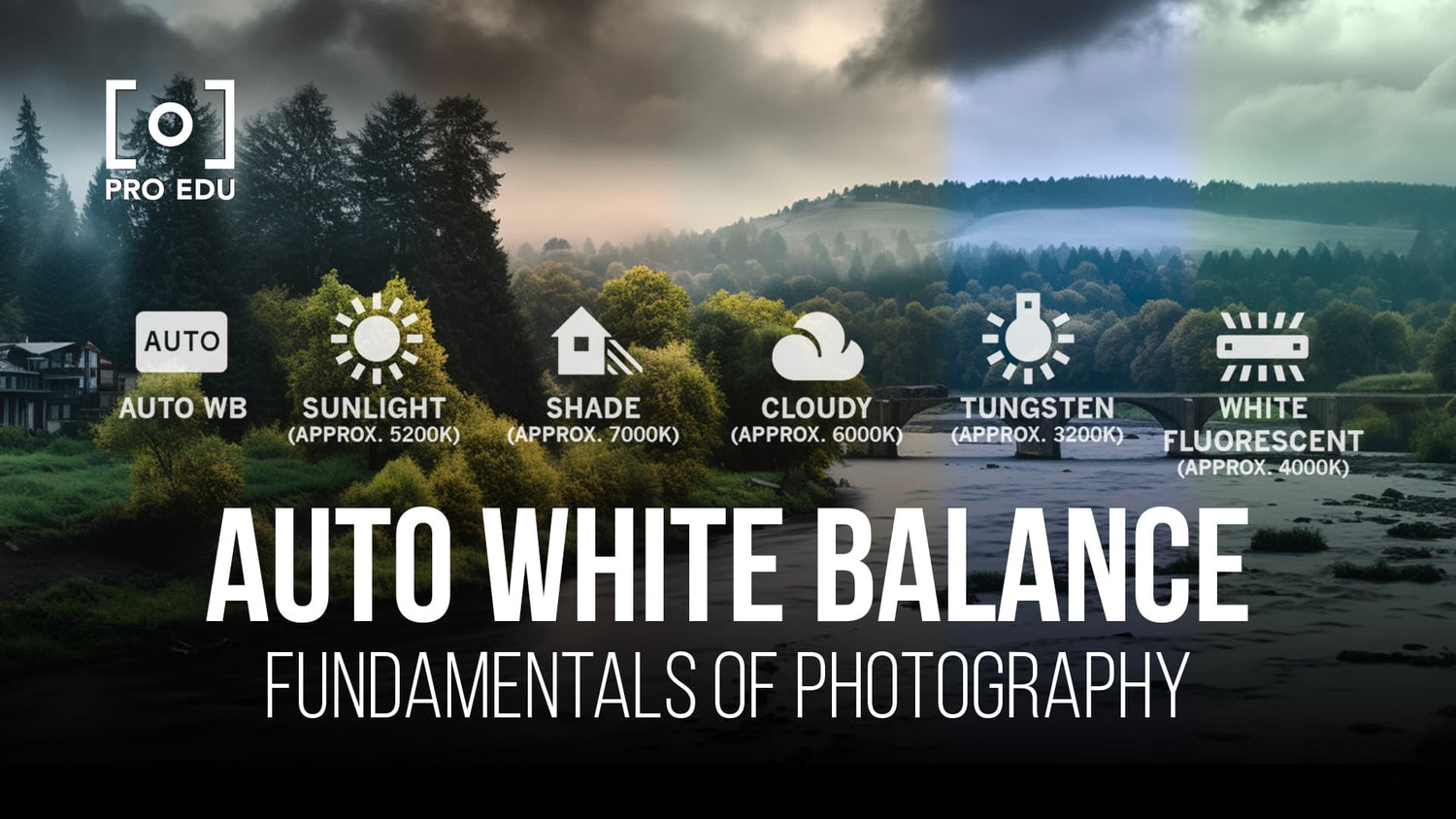 Maximizing camera performance with auto white balance settings for accurate color reproduction