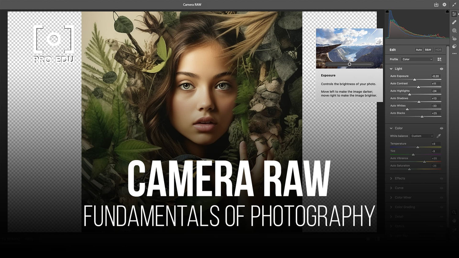Unleashing the full photographic potential of camera raw files for superior image quality