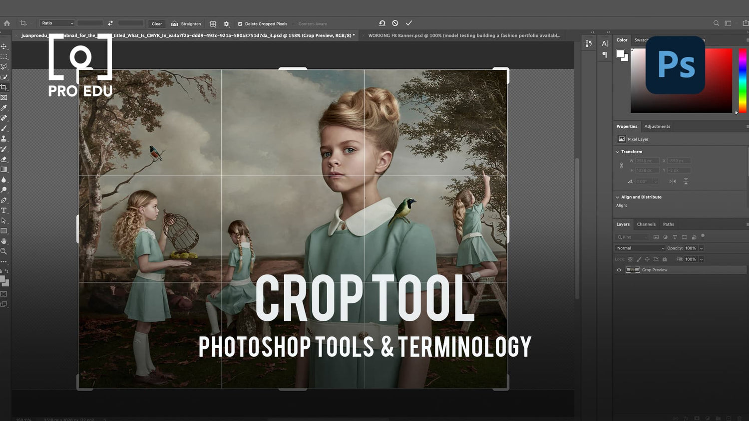 Crop Tool Functions in Photoshop - PRO EDU Guide