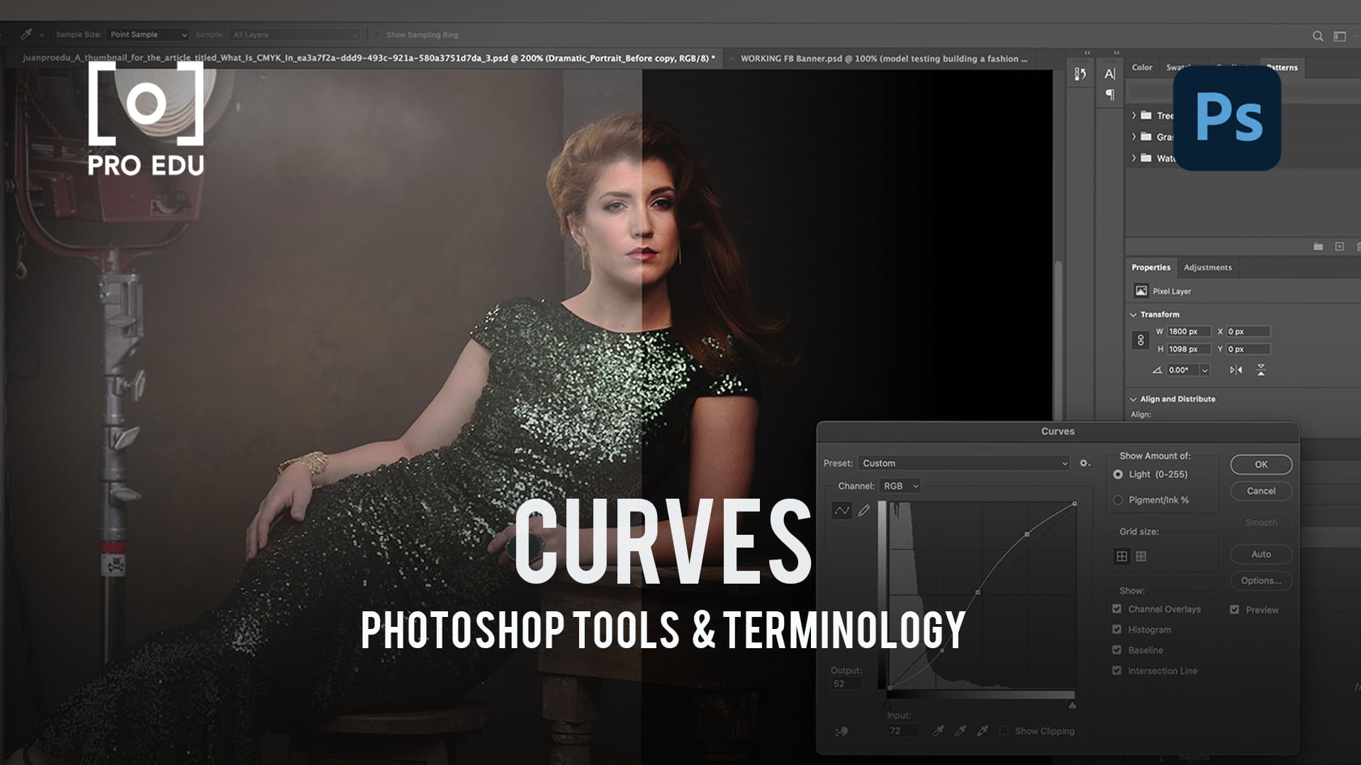 Curves Adjustment in Photoshop - PRO EDU Guide