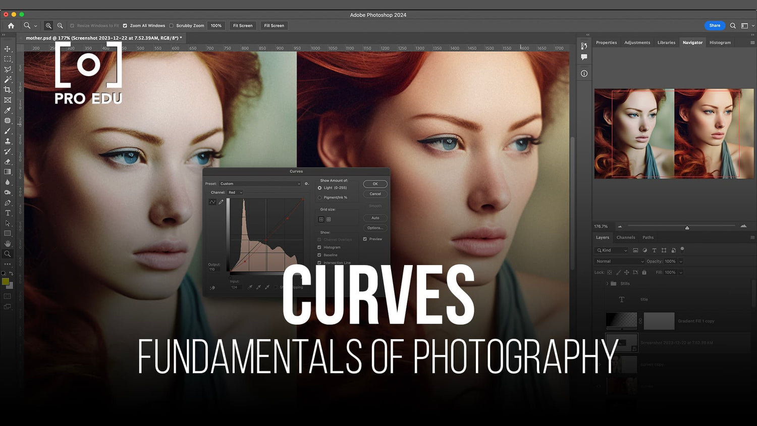 Mastering tonal adjustments with the curves tool in photo editing