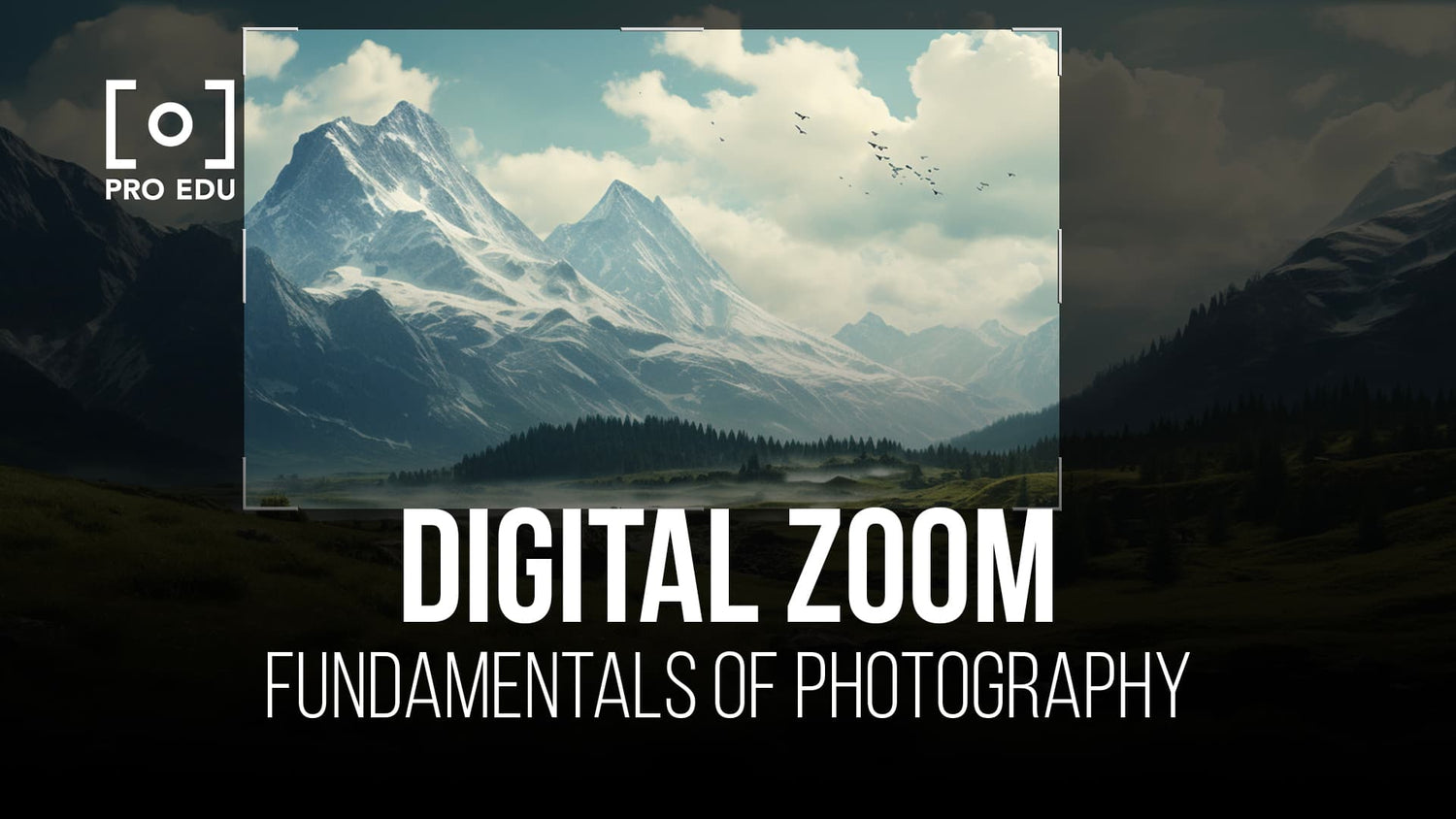 A beginner's guide to understanding and using digital zoom in photography