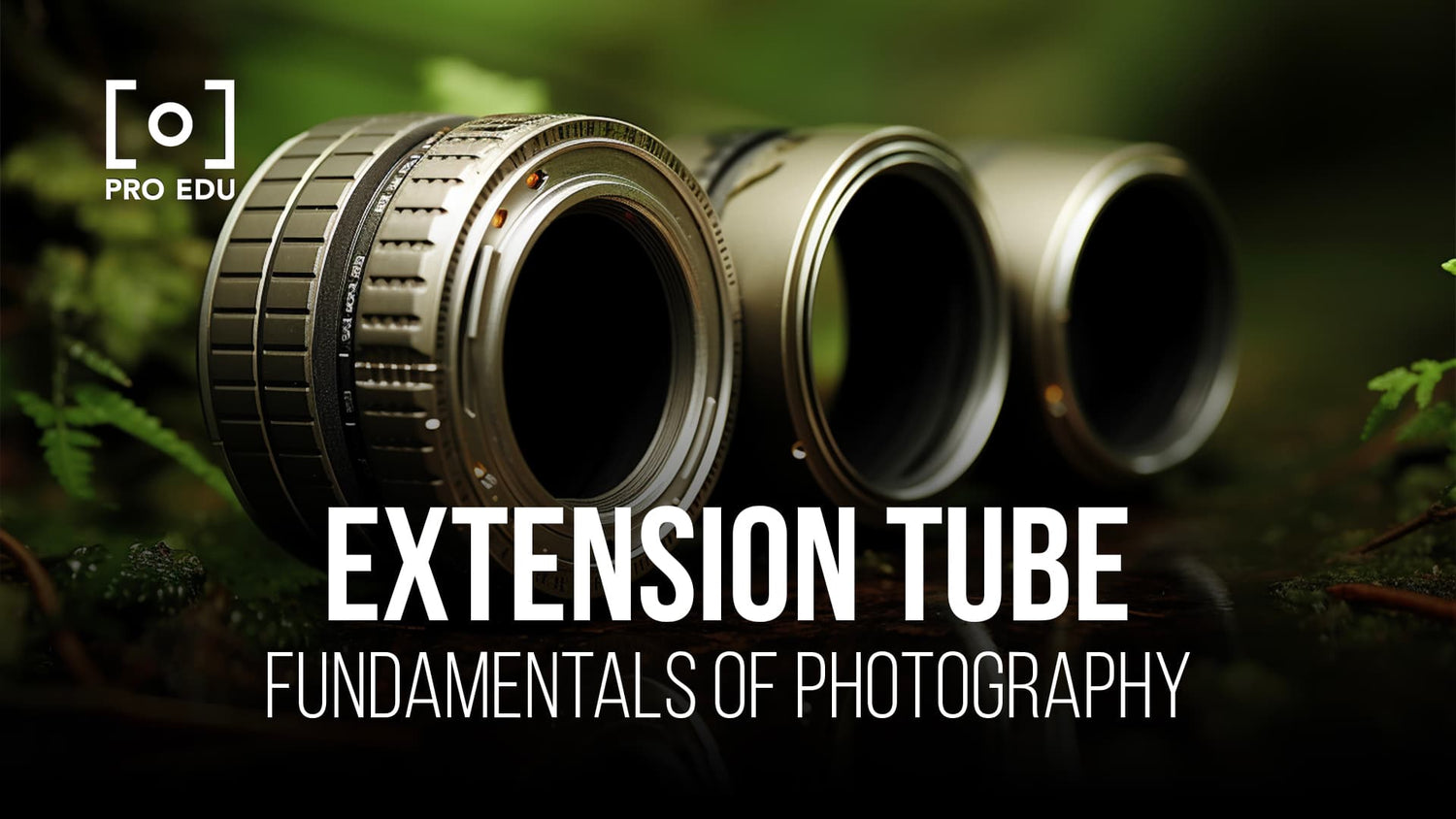 Enhancing macro shots with extension tubes in photography, a detailed guide