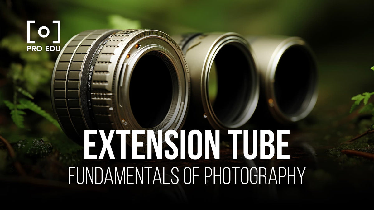 Extension Tubes in Photography: Enhancing Macro Shots