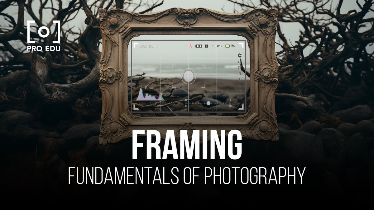 Importance Frame Framing Shots: A Beginner's Guide