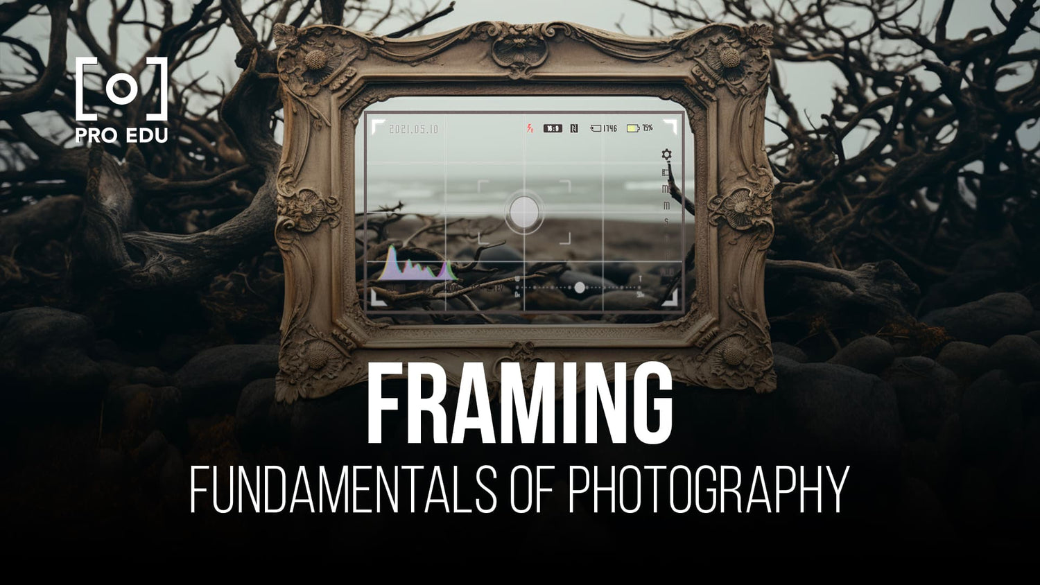 A beginner's guide to framing shots perfectly in photography