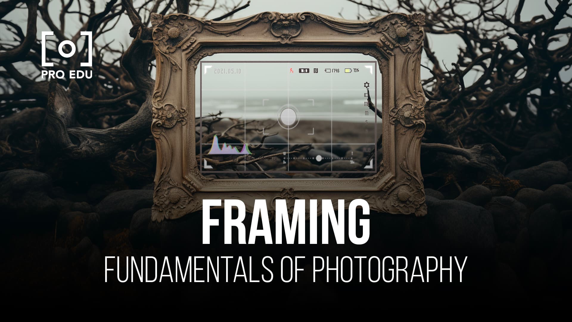 Framing Shots: A Beginner's Guide
