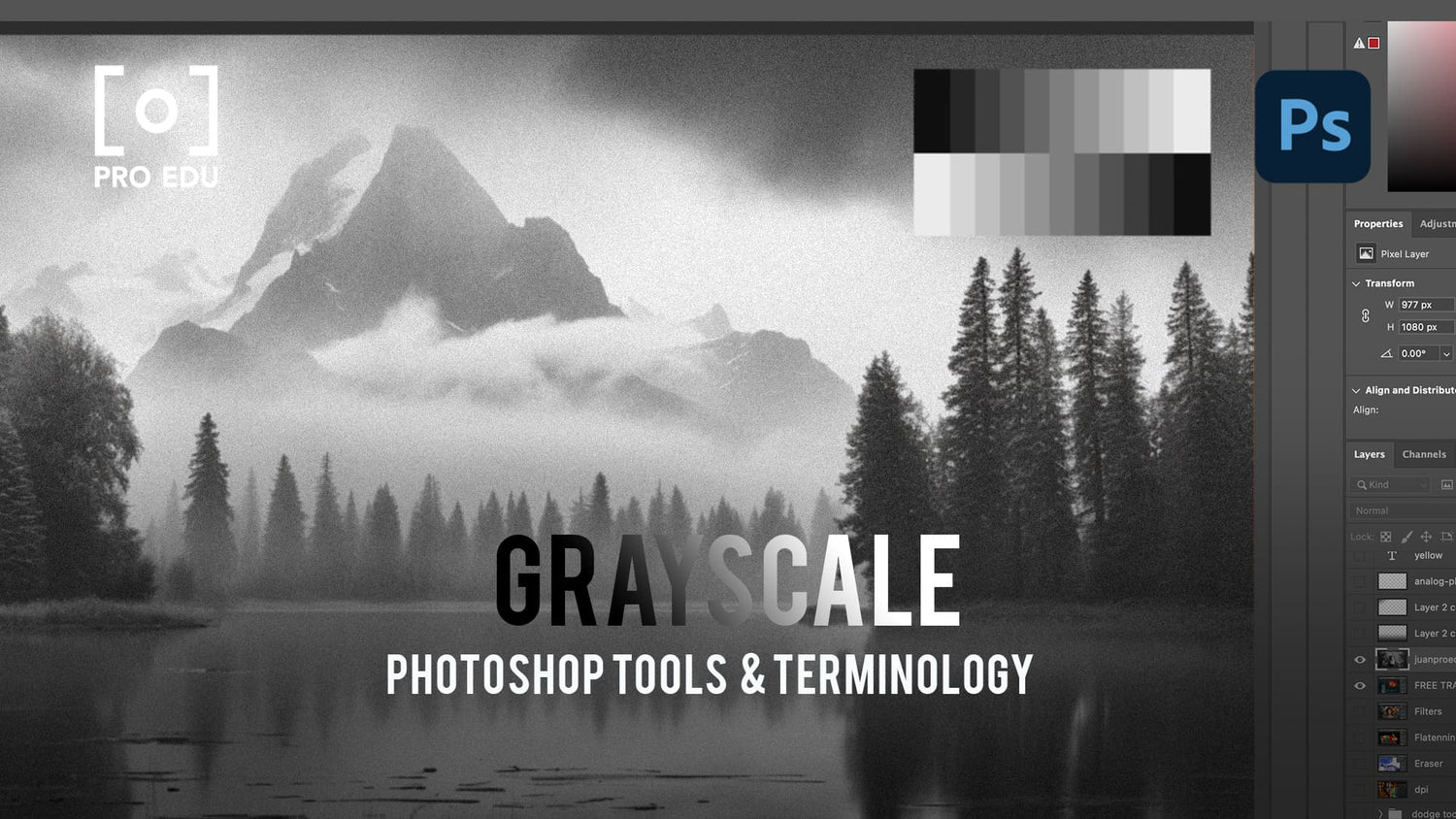 Grayscale Conversion in Photoshop - PRO EDU Tutorial