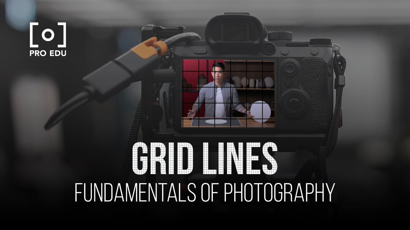 Grid Lines: Enhancing Composition in Photography
