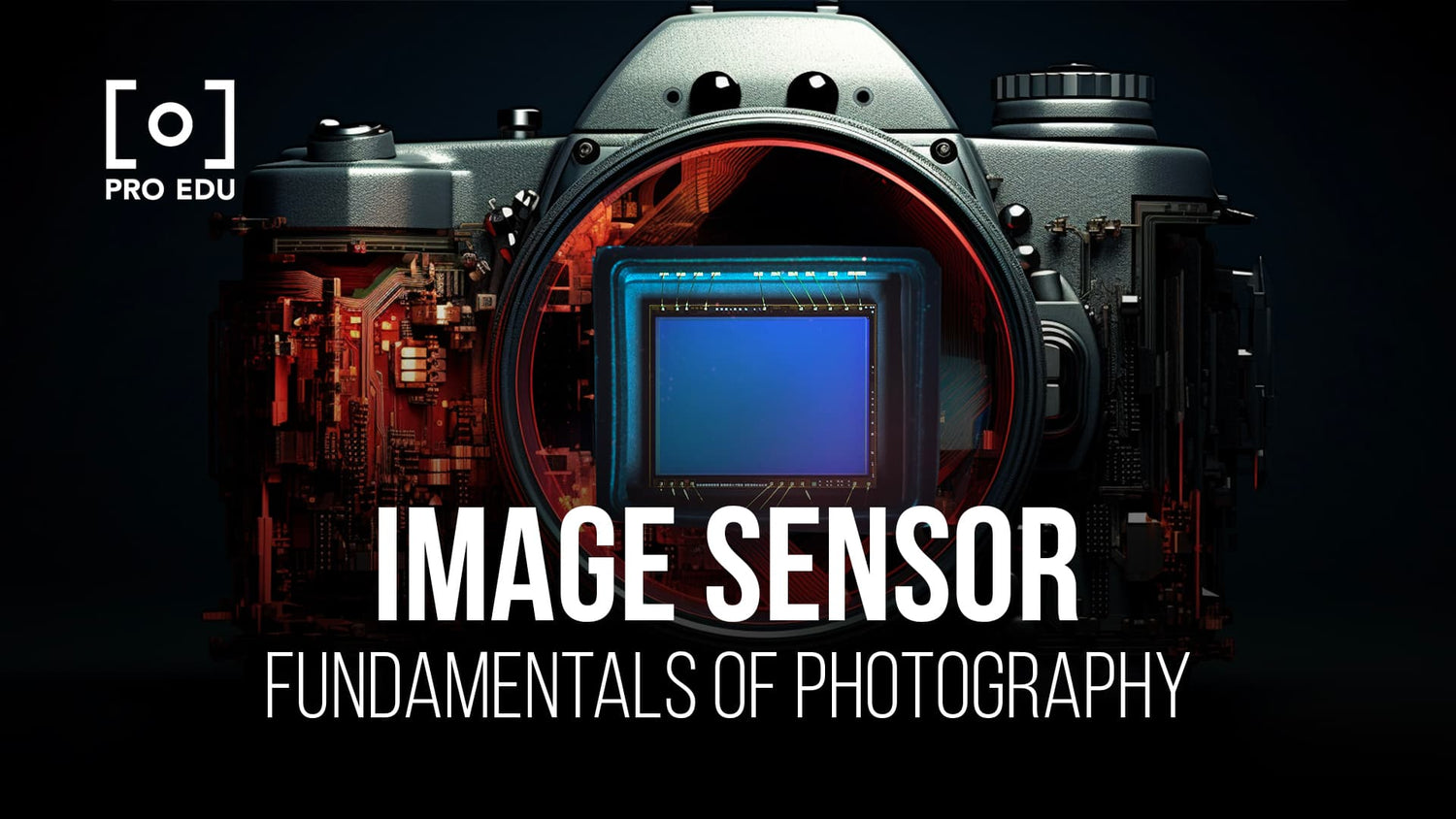Sensores de imagen: explicación del núcleo de la cámara digital