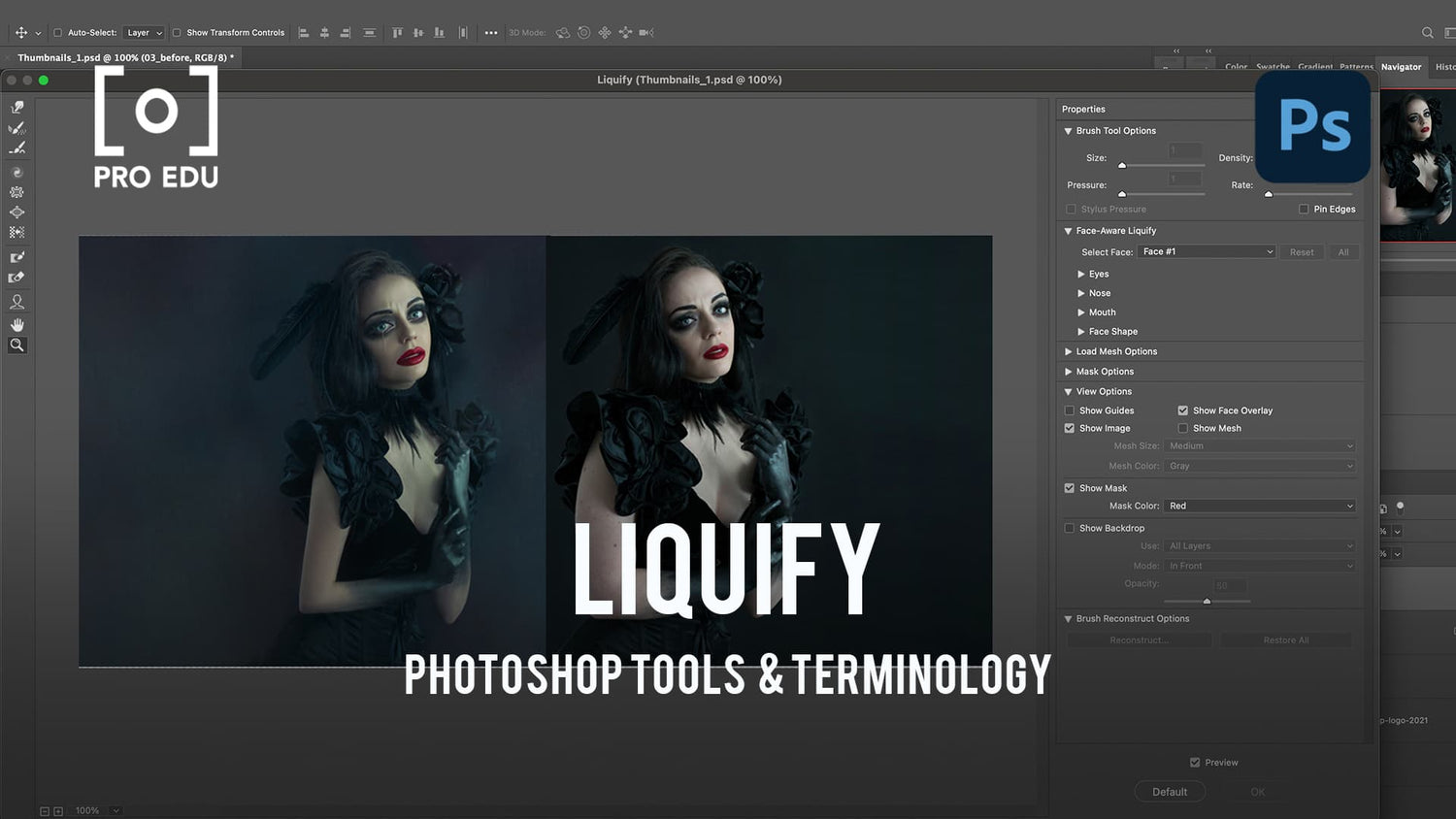 Liquify Tool in Photoshop - PRO EDU Tutorial