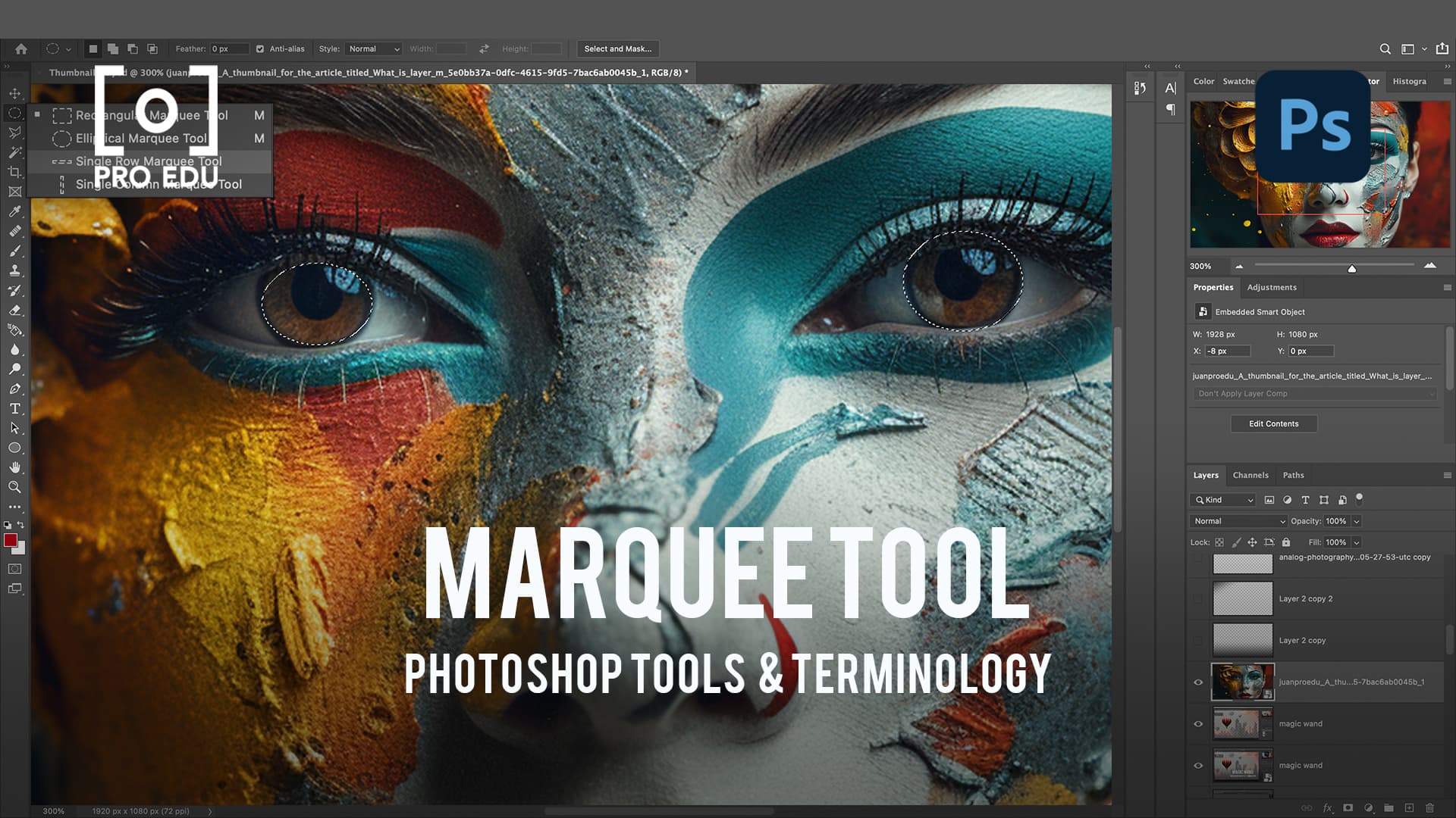 Marquee Tool Functions in Photoshop - PRO EDU Guide