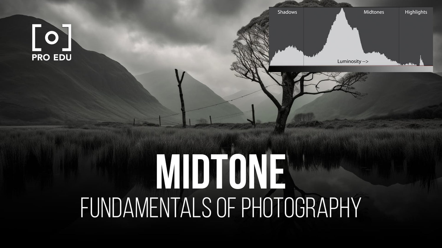 Balancing your images with an understanding of midtones in photography