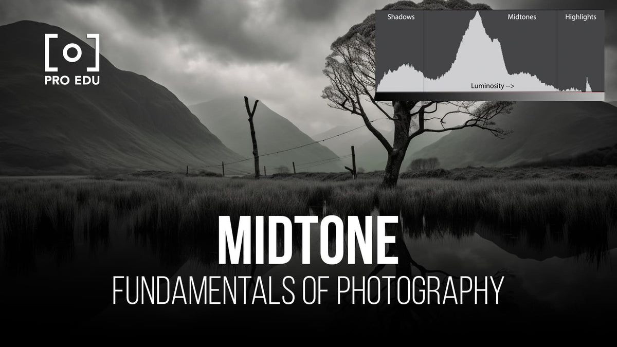 Comprendre les tons moyens en photographie : équilibrer vos images
