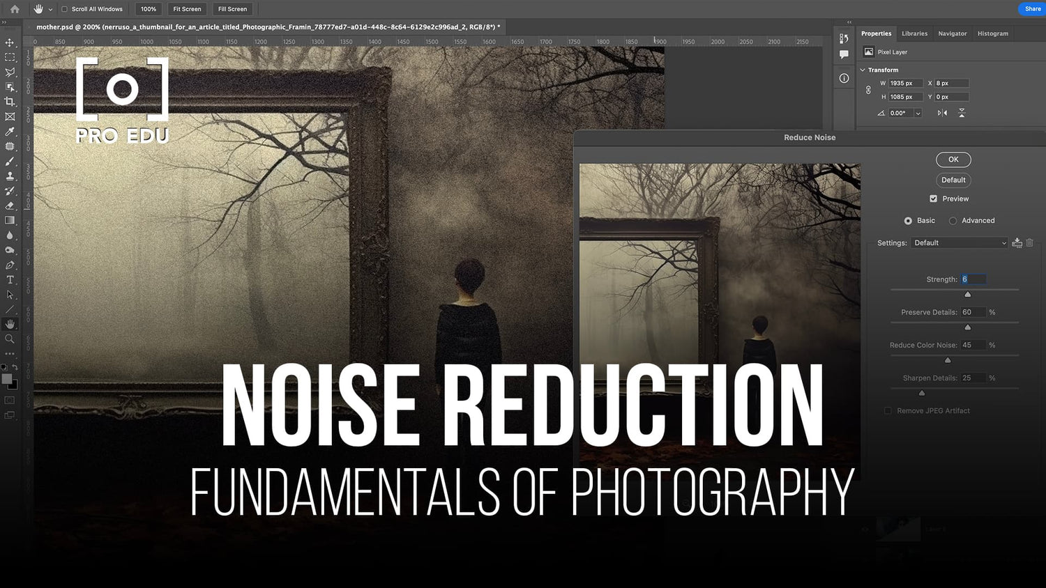 A beginner's guide to noise reduction techniques in photography