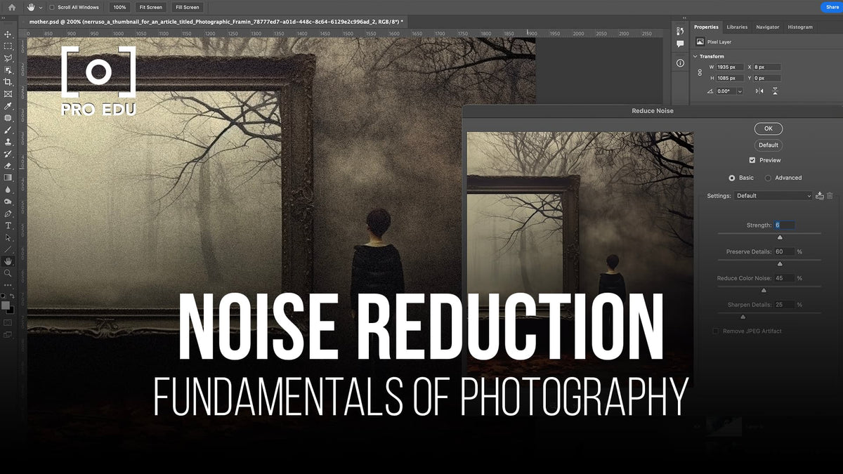 Noise Reduction Techniques in Photography: A Beginner's Guide