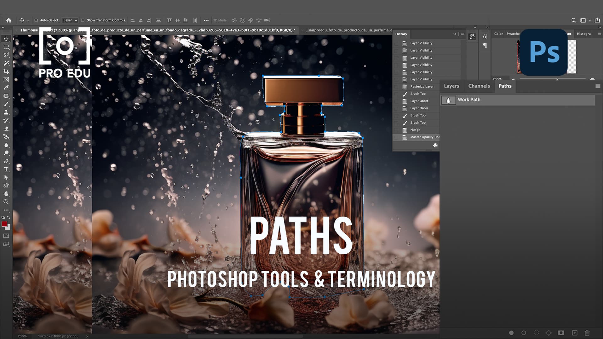 Paths Feature in Photoshop - PRO EDU Tutorial