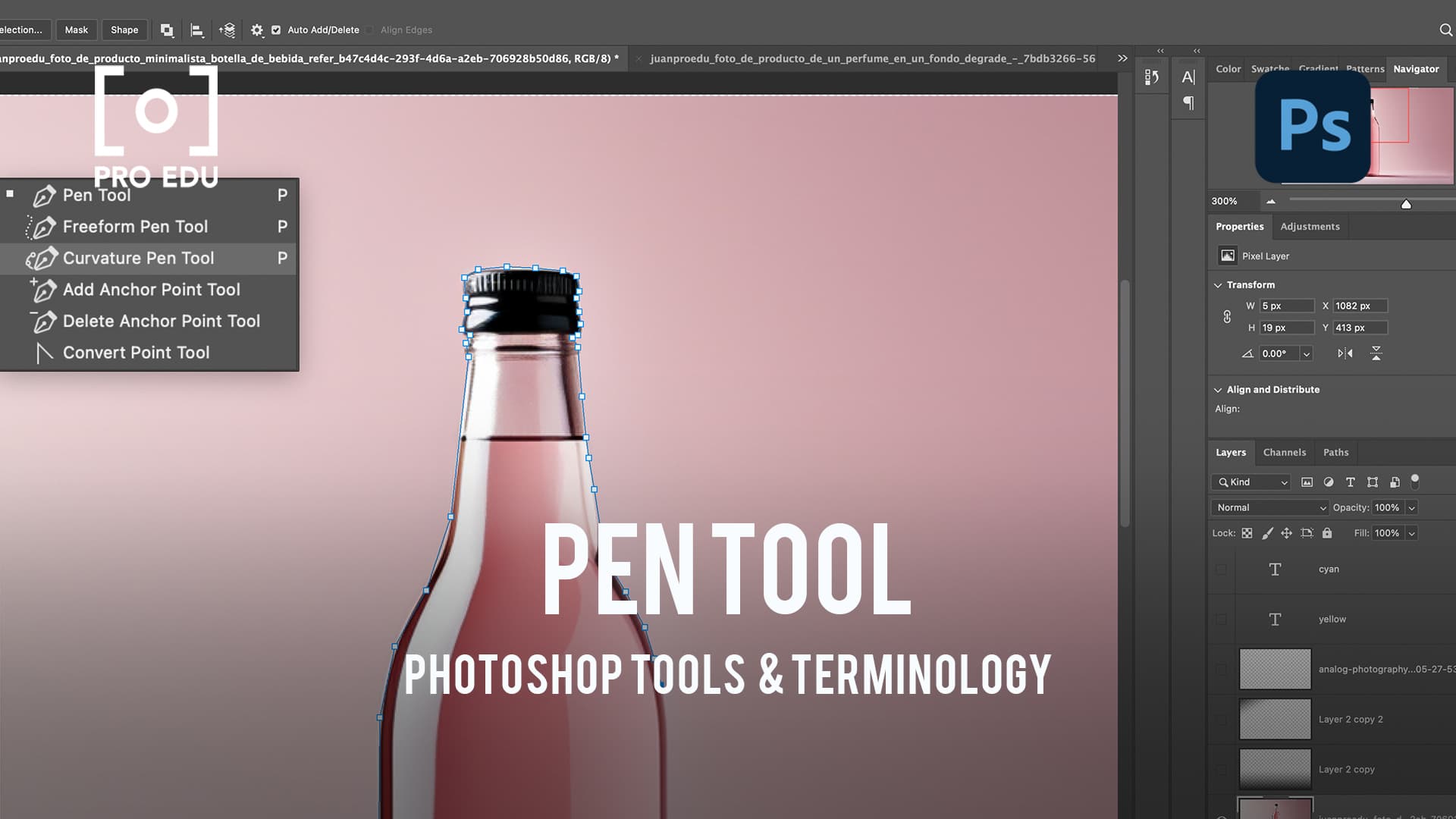 Pen Tool Mastery in Photoshop - PRO EDU Tutorial