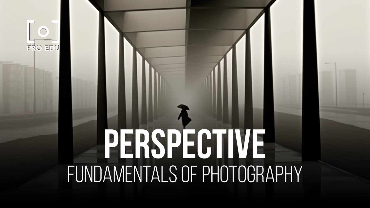 Shaping the viewer's perception with perspective techniques in photography