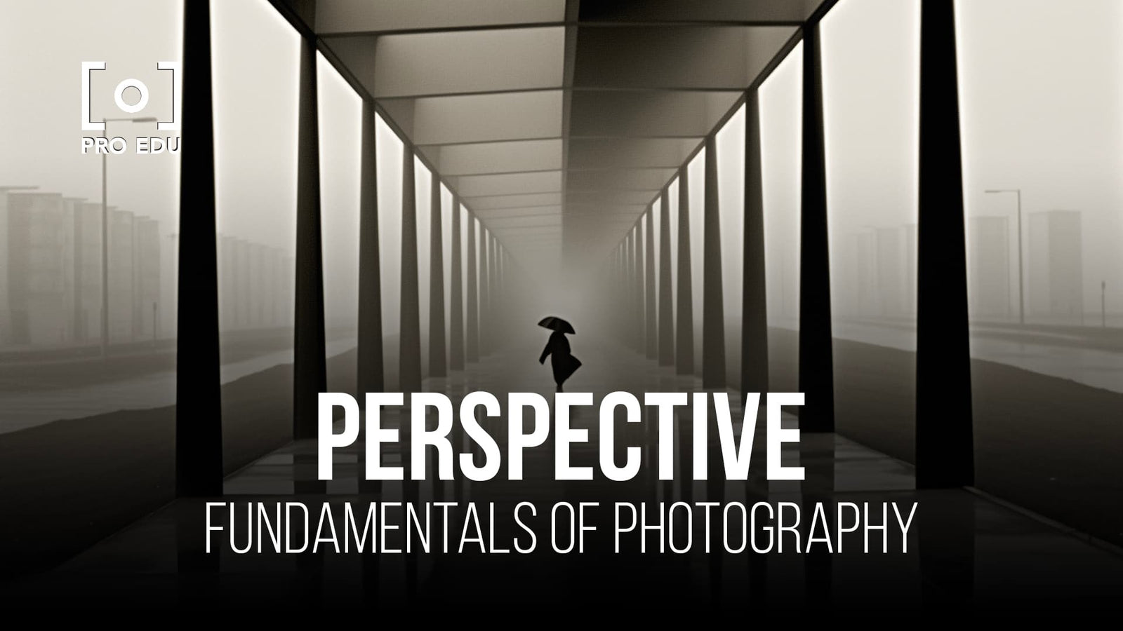 Perspective in Photography: Shaping the Viewer's Perception