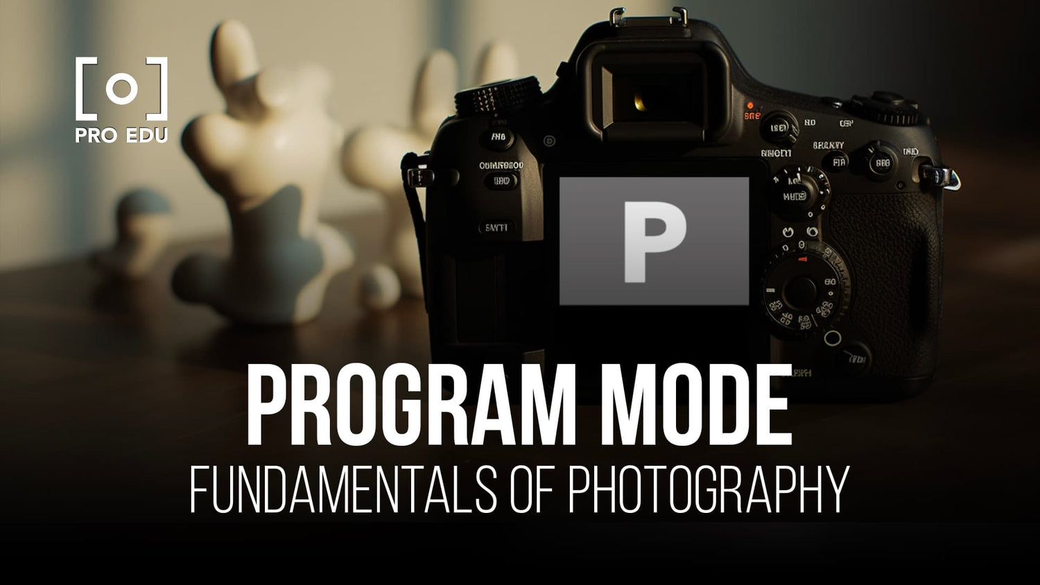 Balancing creativity and control with program mode in photography