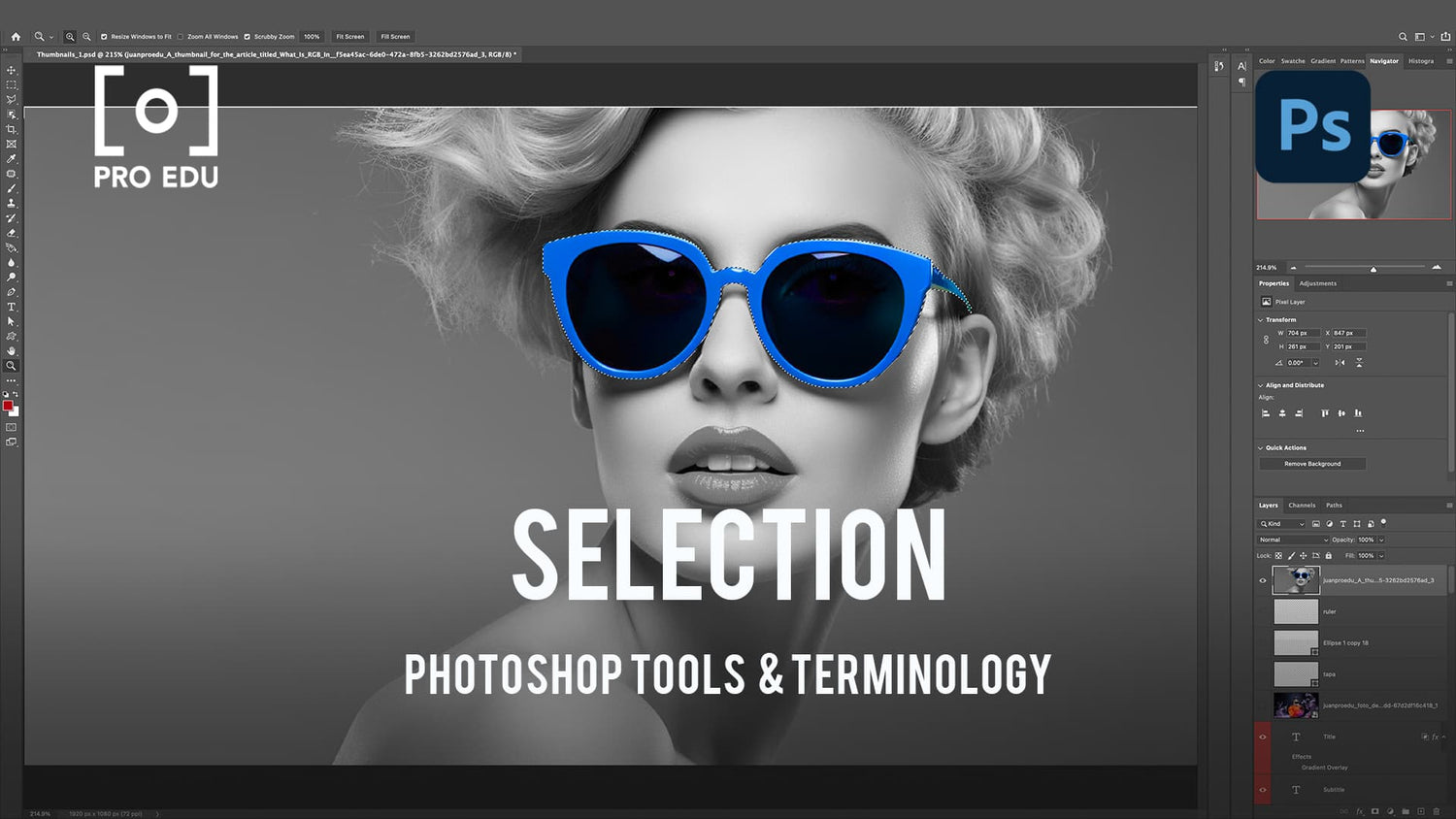 Selection Tools in Photoshop - PRO EDU Tutorial