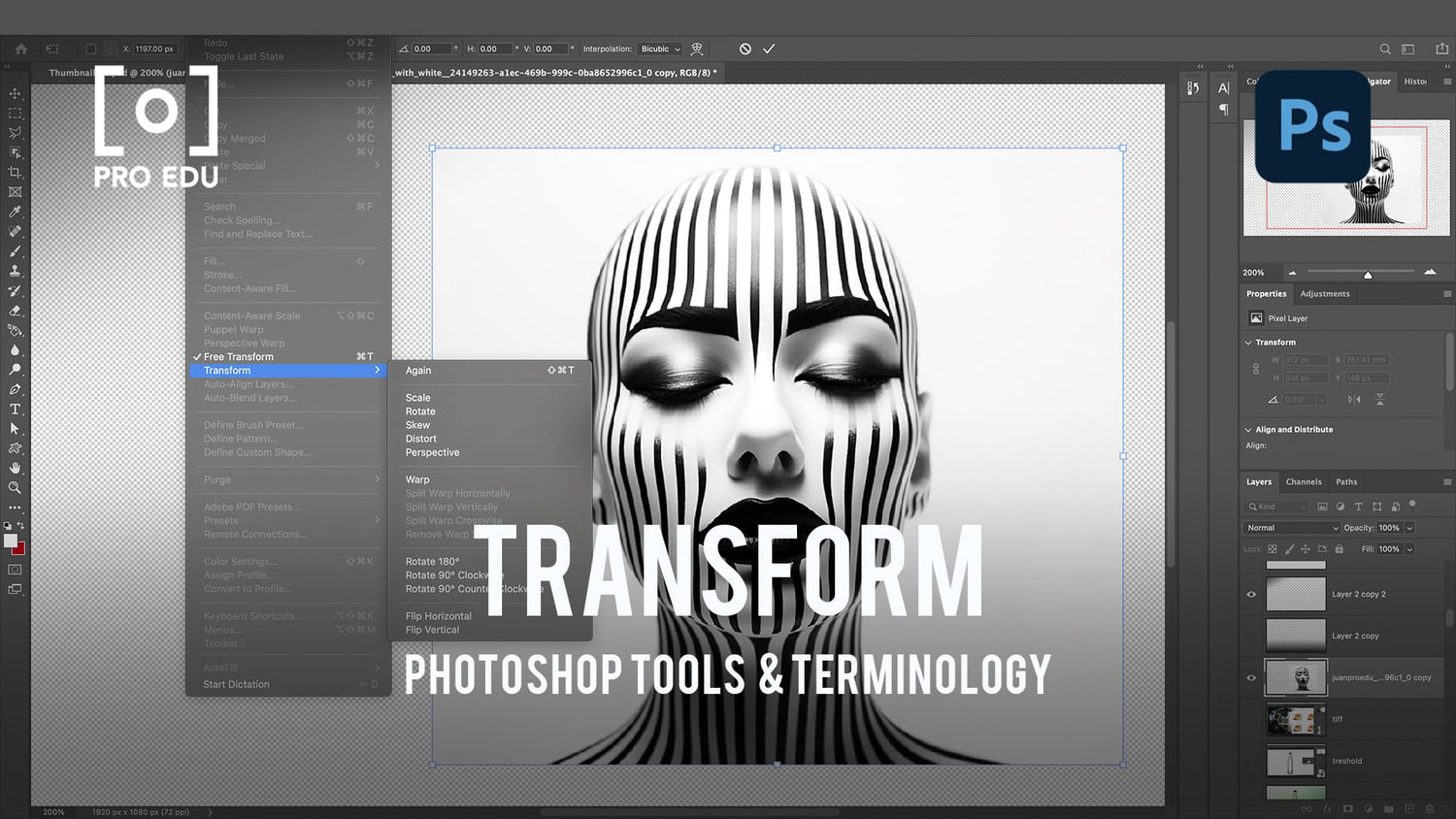 Transform Tool Techniques in Photoshop - PRO EDU Tutorial