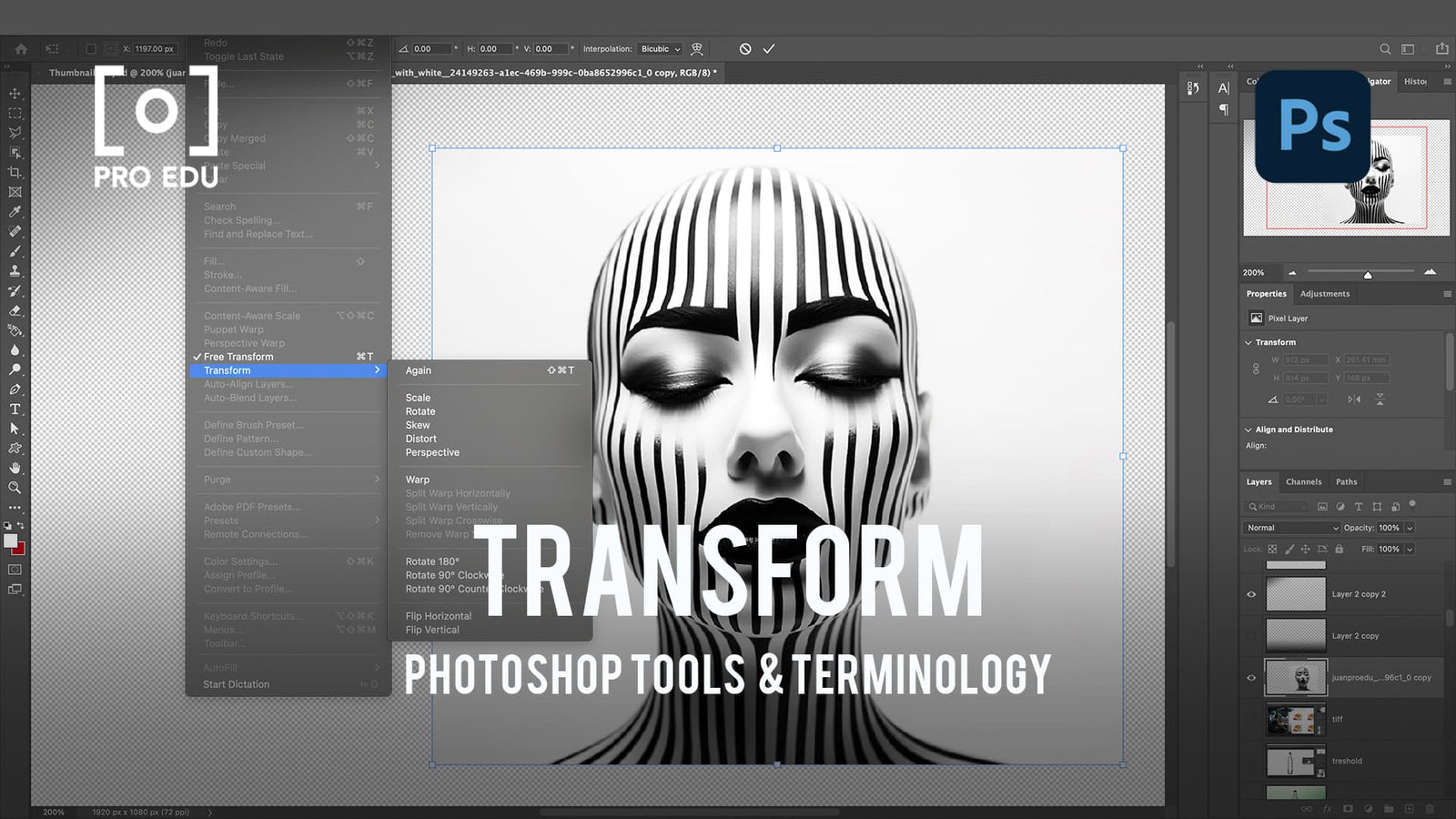 What Is Transform In Photoshop?