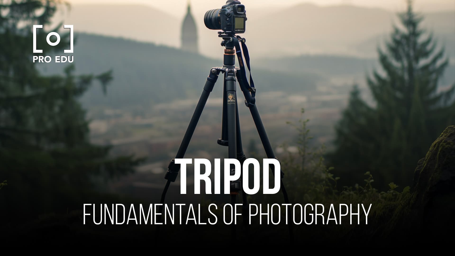 Stability and precision for every shot with tripods in photography